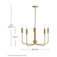 Austen Chandelier - Brass